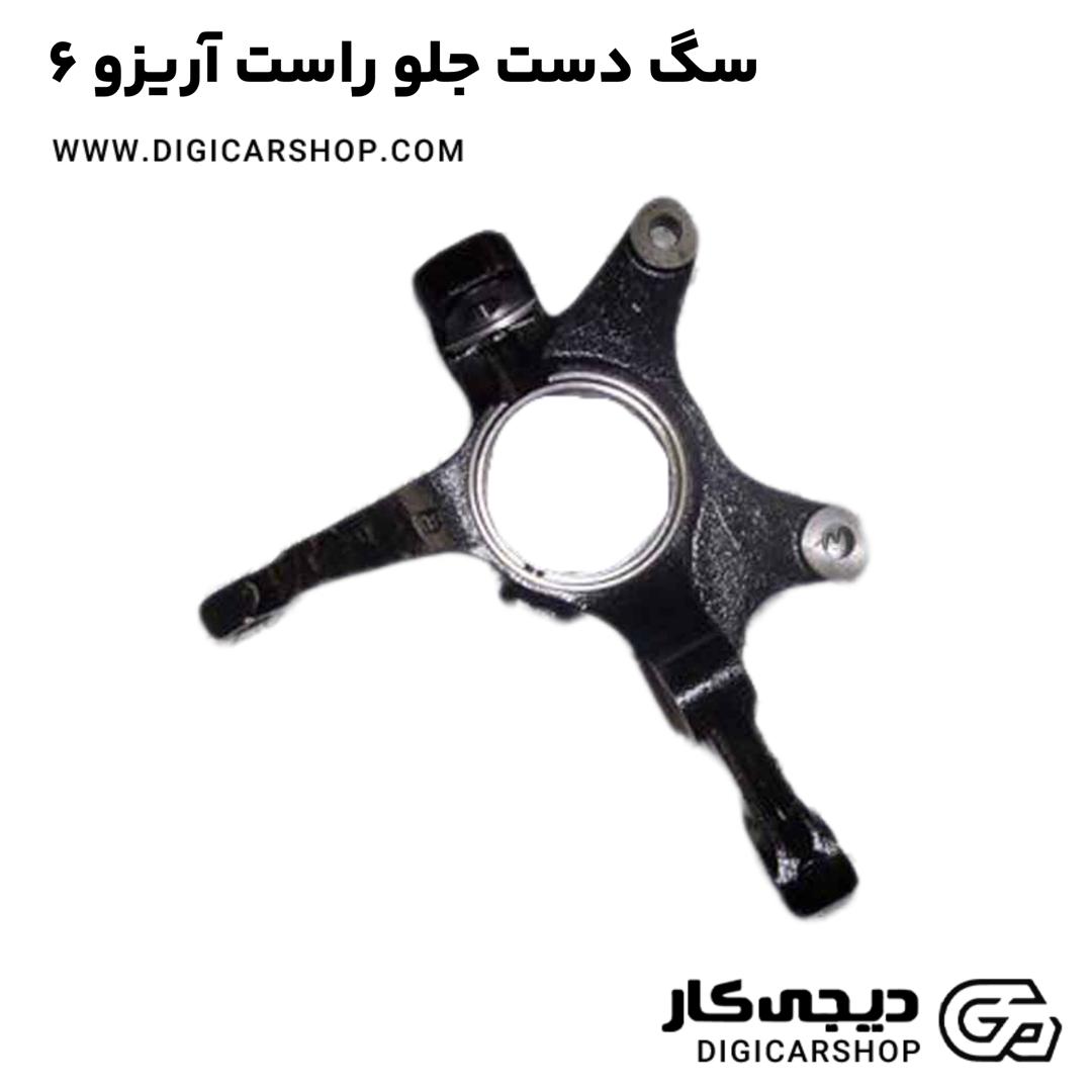 خرید سگ دست جلو راست آریزو 6