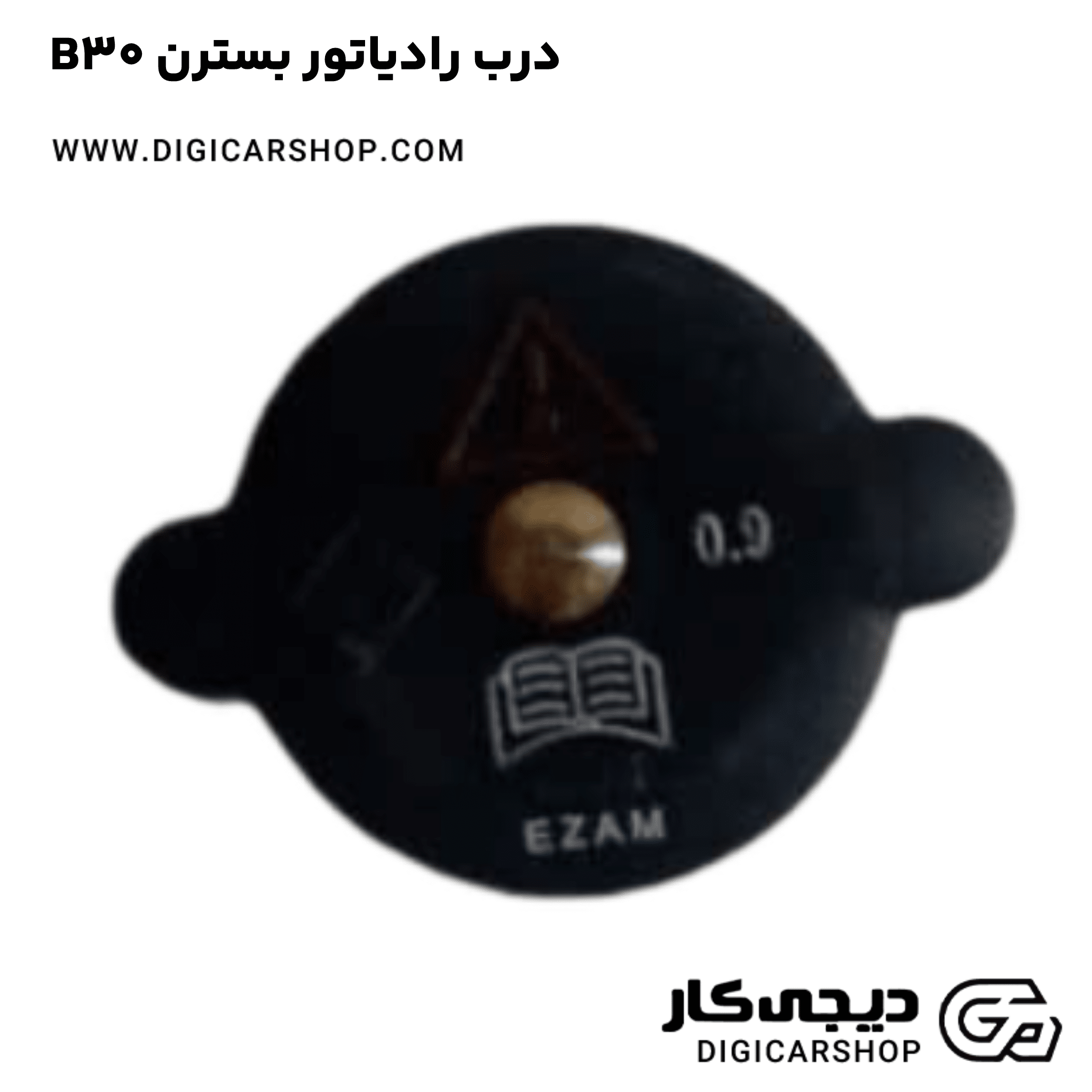 خرید درب رادیاتور بسترن B30