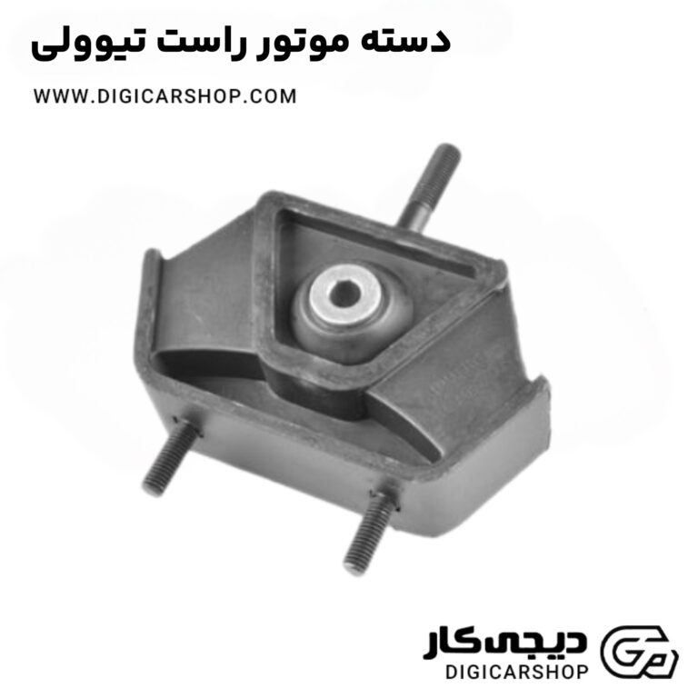 خرید دسته موتور راست تیوولی